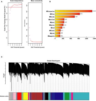 Weighted Gene Coexpression Network Analysis Reveals Essential Genes and Pathways in Bipolar Disorder